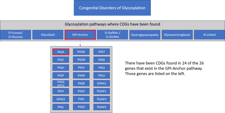 Where PIGA falls under