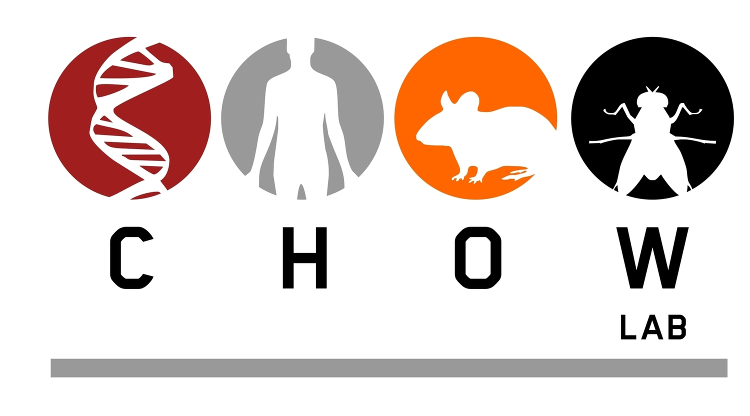 Our Research Project w/the Chow Lab – Life by Emmett